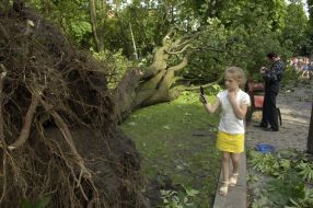 Последствия урагана во Львовской области