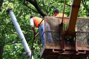 Последствия урагана во Львовской области