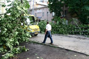 Последствия урагана во Львовской области