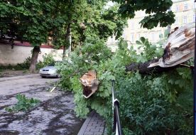 Последствия урагана во Львовской области