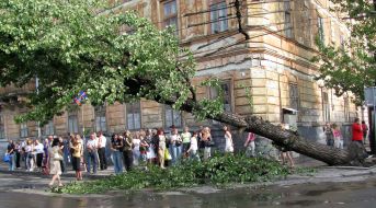 Последствия урагана во Львовской области