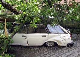 Последствия урагана во Львовской области