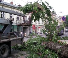 Последствия урагана во Львовской области