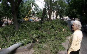 Последствия урагана во Львовской области
