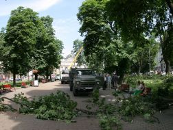 Последствия урагана во Львовской области
