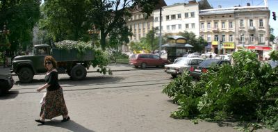 Последствия урагана во Львовской области