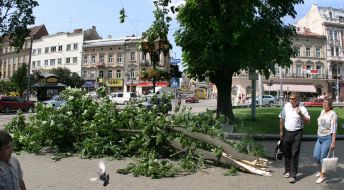 Последствия урагана во Львовской области