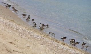 It dangerous to rest on the Mariupol beachs