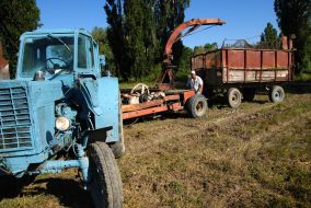 Трактор с прицепом на одном из агрохозяйств в предместье Севастополя