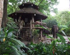 Trips. Thailand