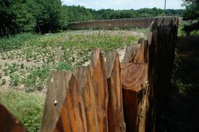 Illegal land parcellation in private property at Golopristanskiy district