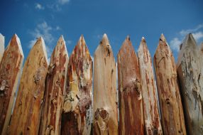 Illegal land parcellation in private property at Golopristanskiy district