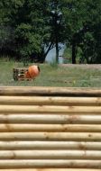 Illegal land parcellation in private property at Golopristanskiy district