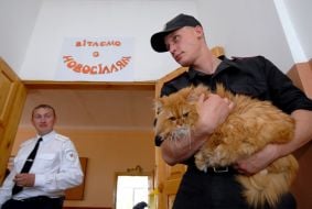 Dmitry Moskovchuk with the cat Rudik