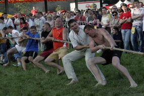 Festival ”Chiken-fest”