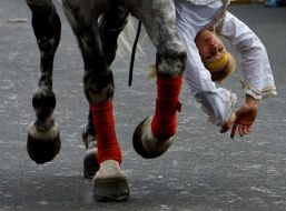 Horsewoman