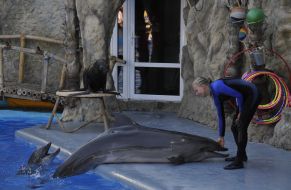 Presentation is in Odessa del’finarii