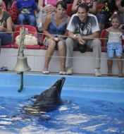 Presentation is in Odessa del’finarii