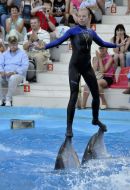 Presentation is in Odessa del’finarii