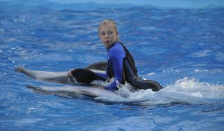 Presentation is in Odessa del’finarii