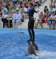 Presentation is in Odessa del’finarii