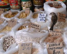 Sparrow on the counter