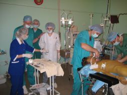The operation on liver transplantation