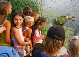 The сhildren near water