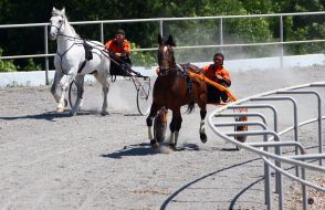 Horsemen go around horse