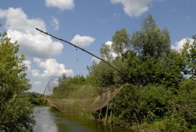 Poachers trap