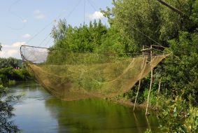 Poachers trap