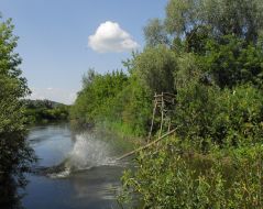 Poachers traps dismantling
