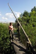 Poachers trap