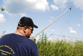 Poachers traps dismantling