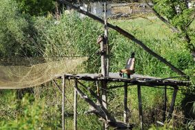 Poachers trap