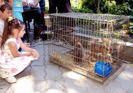 Zoo in Kharkov