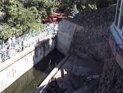 Вольер бурых медведей