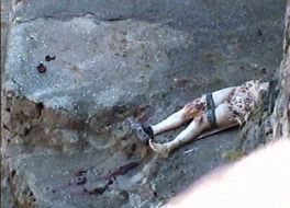 Вольер бурых медведей