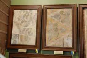 Fresco of XII century