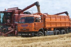 Праздник ”Первого снопа”