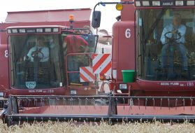 Petr Poroshenko and Vladimir Litvin