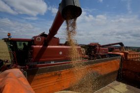 ”First sheaf” holiday