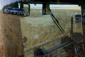 ”First sheaf” holiday