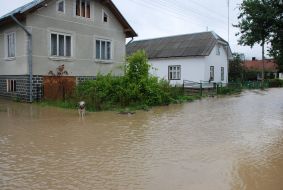 Consequences of bad weather in Ukraine