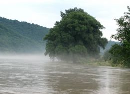 Dnestr river during a flood