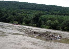 Dnestr river during a flood