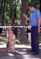 Инструктор-кинолог демонстрирует навыки служебной собаки