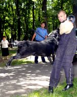 Инструктор-кинолог демонстрирует навыки служебной собаки