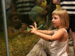 Children examines fishes
