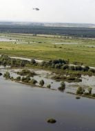 Flooded fields